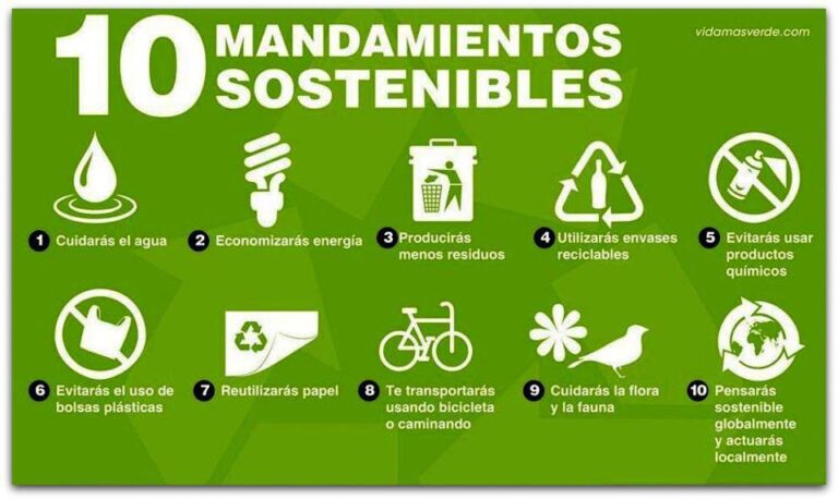 Consejos prácticos para hacer papel reciclado y cuidar el medio ambiente