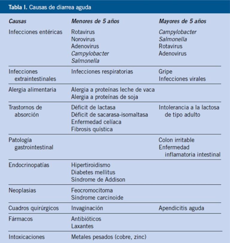 Distingue síntomas de salmonella, gastroenteritis viral, síndrome urémico y bacteria e coli en nuestra guía de infecciones estomacales