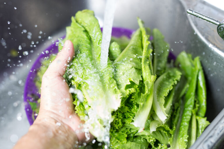 Guía completa para lavar lechuga de forma segura: consejos y técnicas
